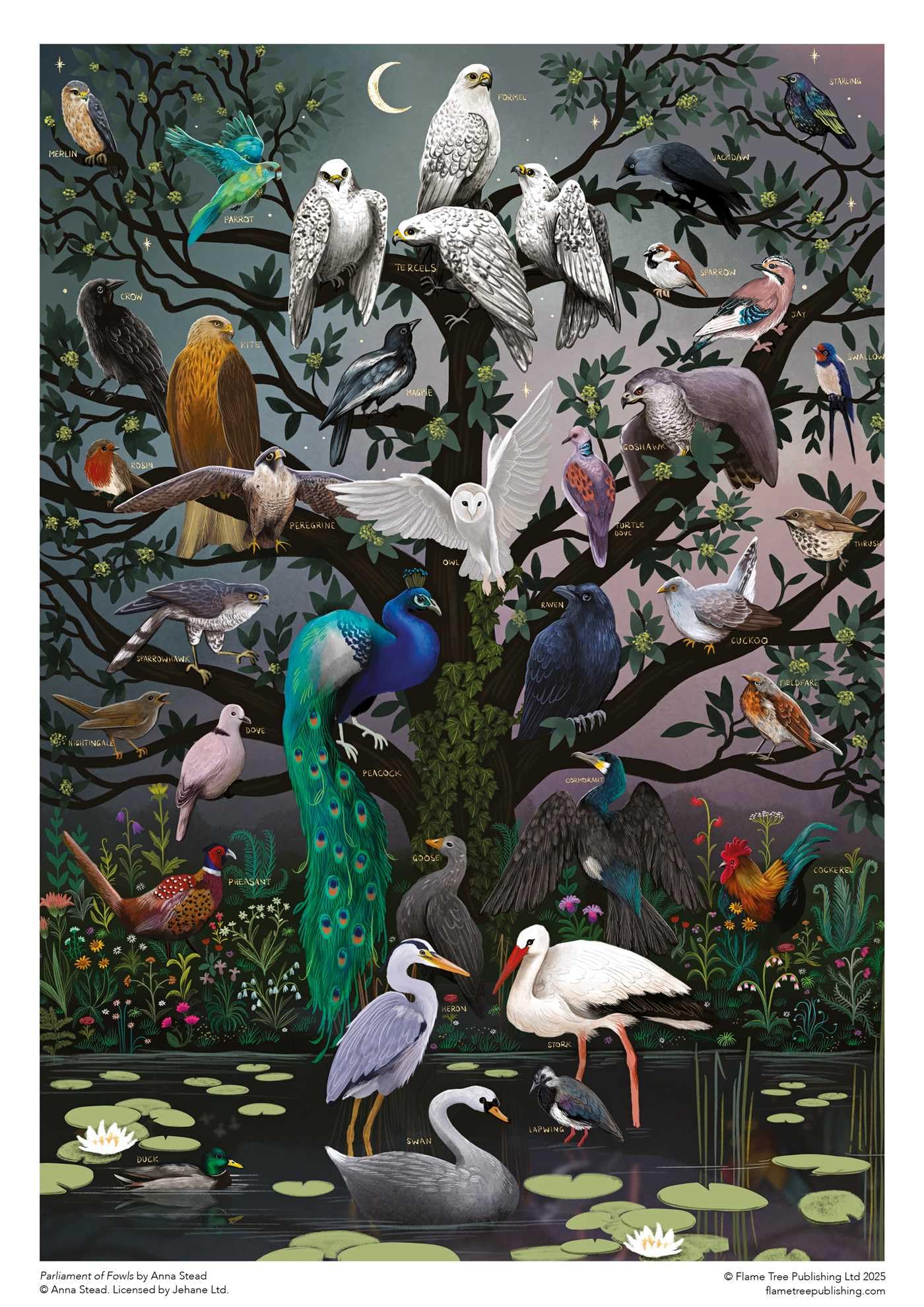 Amazon.com: Adult Sustainable Jigsaw Puzzle Anna Stead: Parliament